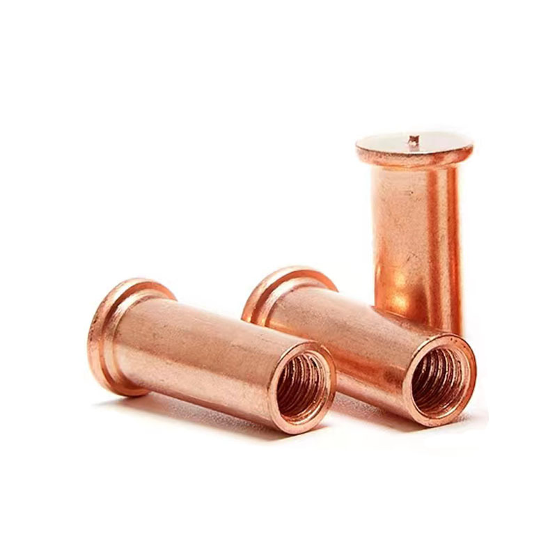 Corrosiebestendige interne thread las studs