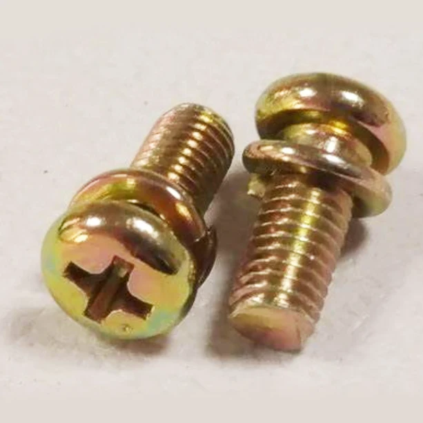Kruis de inbouwpanschroeven en veerroezersassemblies