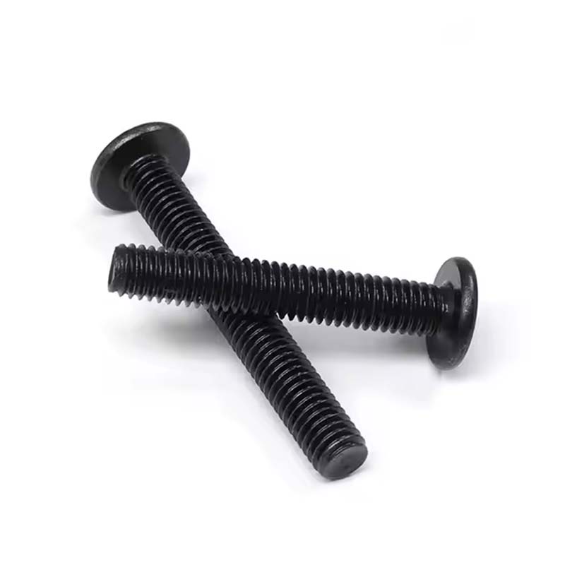 Zeshoekige socket platte ronde kopschroeven