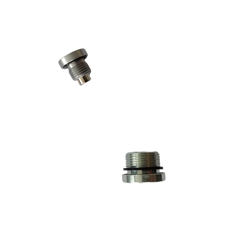Holle zeskantige O-ring stalen plug