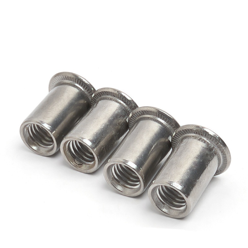 Beveilig schroefdraad verzonken kop geklonken noten