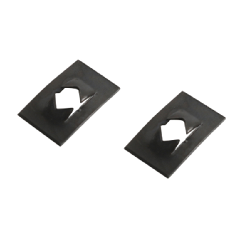 Type C -plaatveermoeren